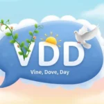vdd mean in text