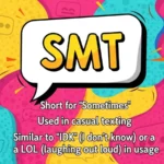 smt mean in text