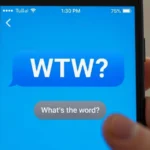 what dies wtw mean in text