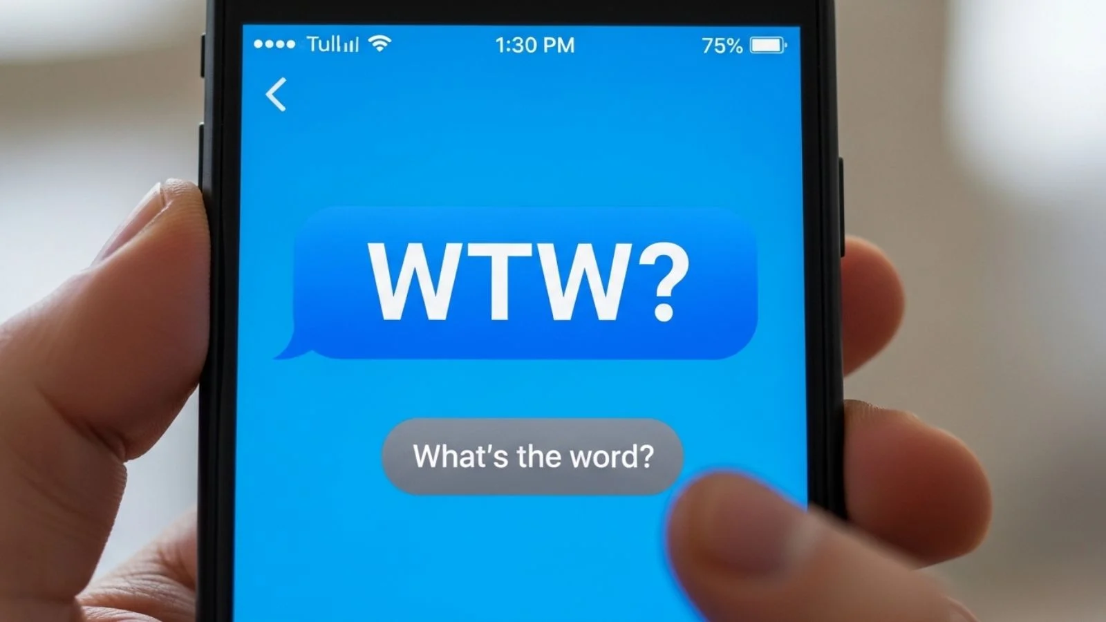 what dies wtw mean in text