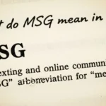 what do msg mean in text