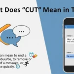 what does cut mean in text