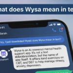 what does wysa mean in text