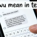uwu mean in text