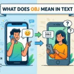 what is obj mean in text